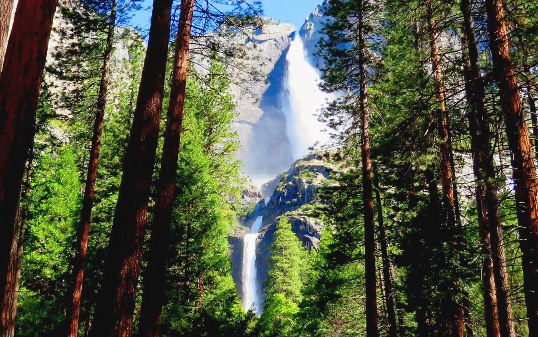 excursiones au parc national de Yosemite guías de visitantes de San Francisco